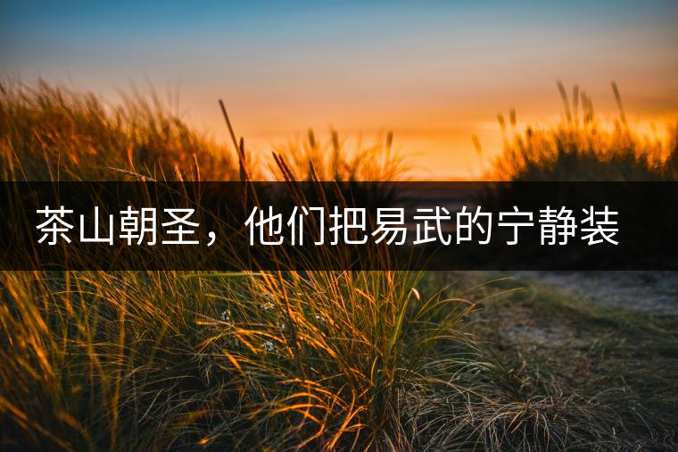 茶山朝圣，他們把易武的寧靜裝進(jìn)心里，卻把成堆垃圾留在