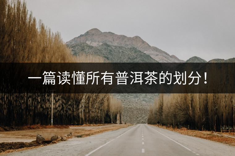 一篇讀懂所有普洱茶的劃分！