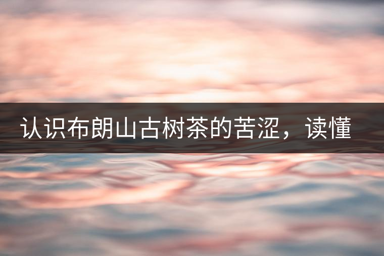 認識布朗山古樹茶的苦澀，讀懂勐海普洱茶