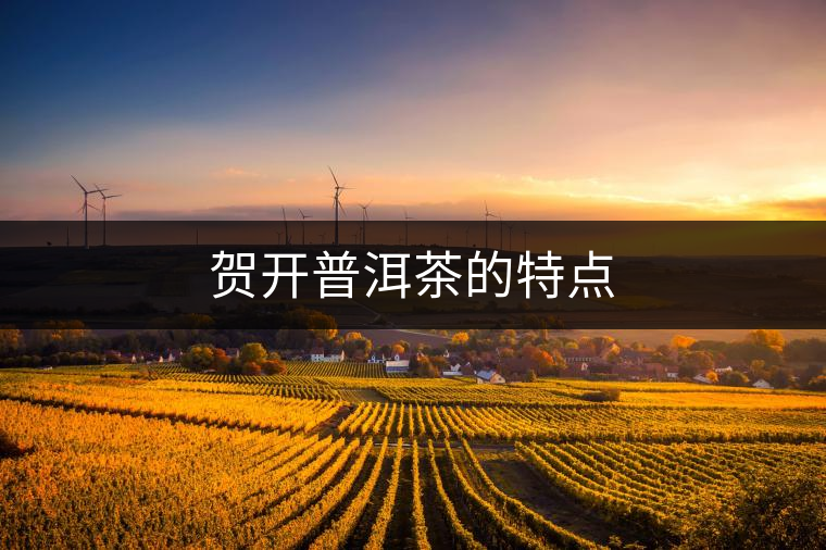 賀開(kāi)普洱茶的特點(diǎn)