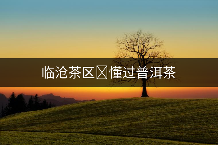 臨滄茶區(qū)?懂過(guò)普洱茶