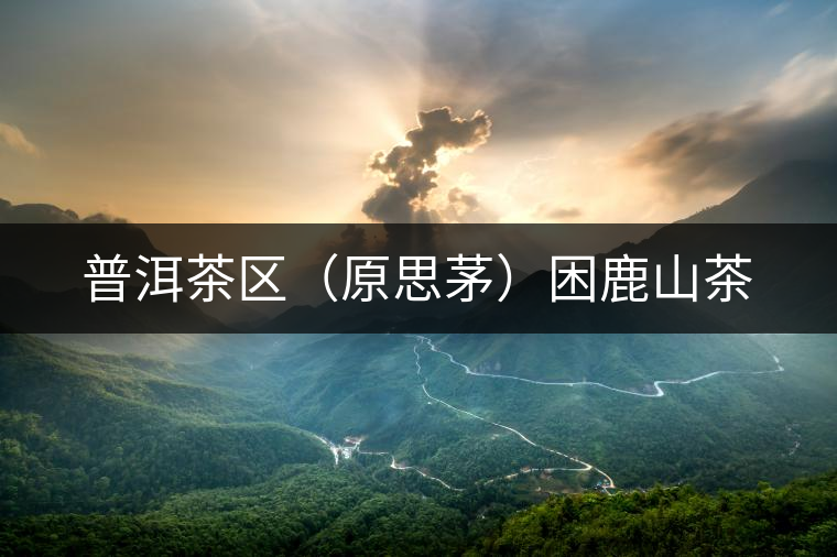 普洱茶區(qū)（原思茅）困鹿山茶