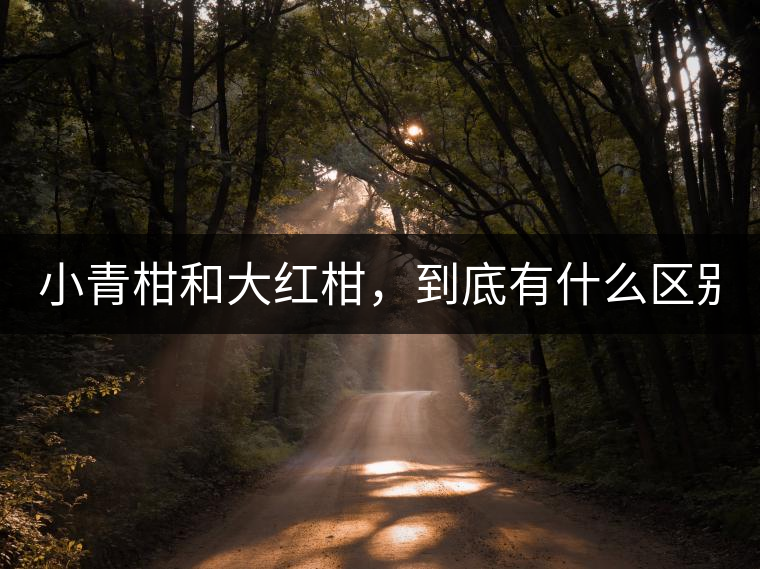 小青柑和大紅柑，到底有什么區(qū)別？