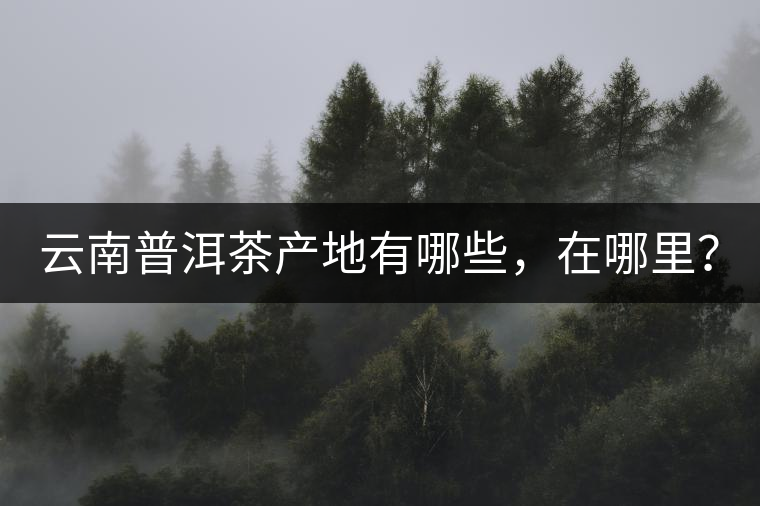 云南普洱茶產(chǎn)地有哪些，在哪里？