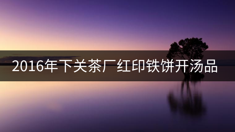 2016年下關(guān)茶廠紅印鐵餅開(kāi)湯品鑒 2016年下關(guān)茶廠紅印鐵餅開(kāi)湯品鑒