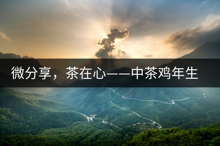 微分享，茶在心——中茶雞年生肖餅