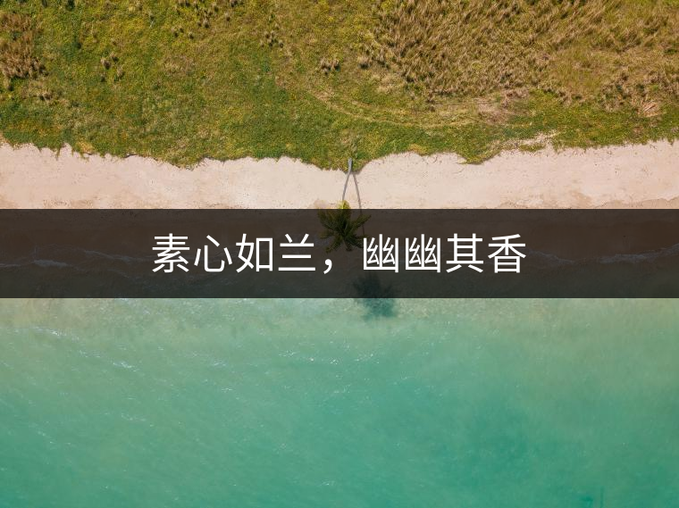 素心如蘭，幽幽其香