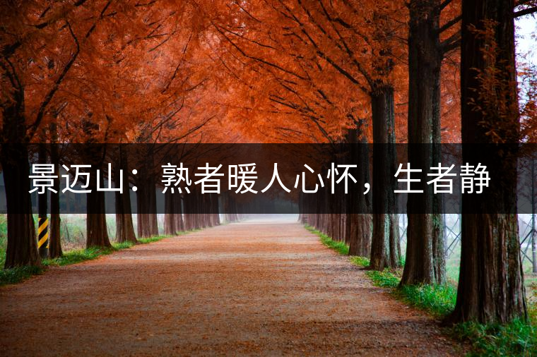 景邁山：熟者暖人心懷，生者靜品歲月