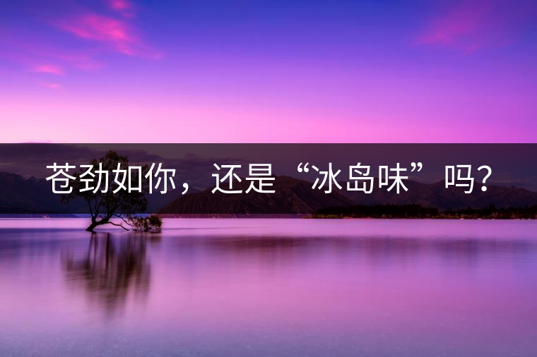 蒼勁如你，還是“冰島味”嗎？