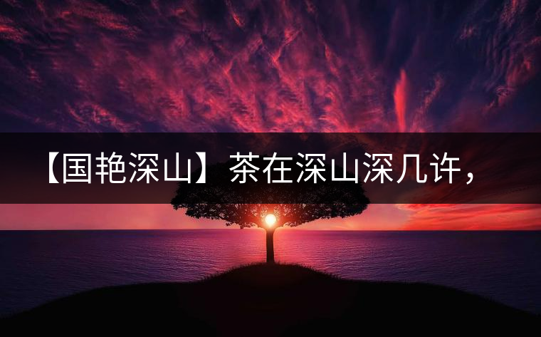 【國(guó)艷深山】茶在深山深幾許，布朗味釅釅幾分！