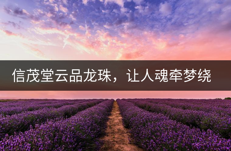 信茂堂云品龍珠，讓人魂?duì)繅?mèng)繞的尤物