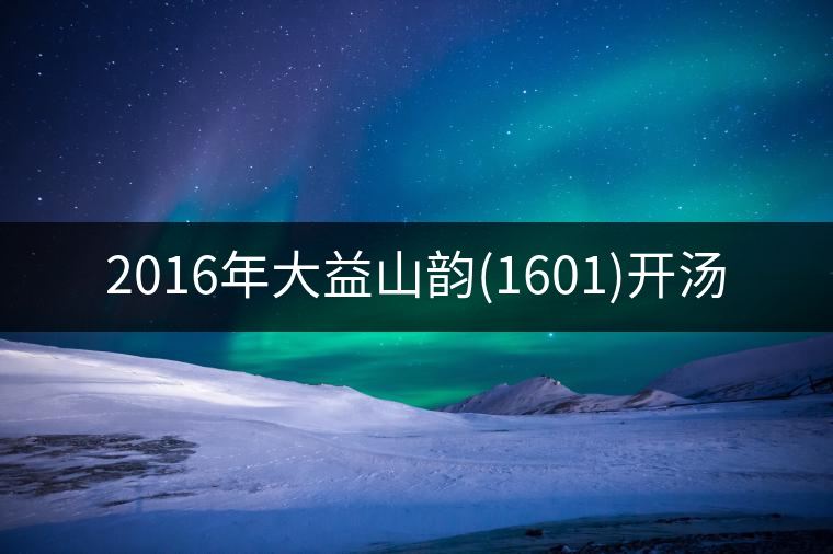 2016年大益山韻(1601)開(kāi)湯
