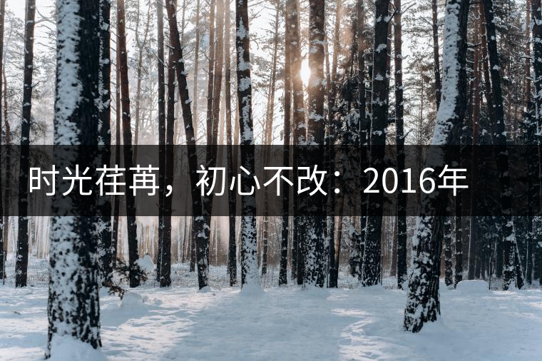 時(shí)光荏苒，初心不改：2016年老同志為天下人做好茶開湯