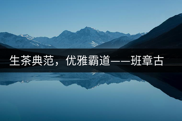生茶典范，優(yōu)雅霸道——班章古韻