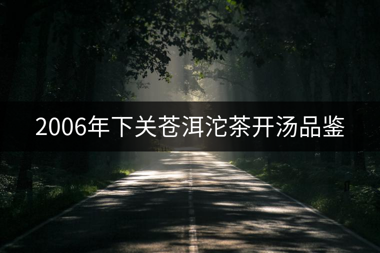 2006年下關蒼洱沱茶開湯品鑒