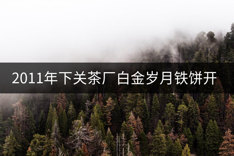 2011年下關(guān)茶廠白金歲月鐵餅開湯品鑒