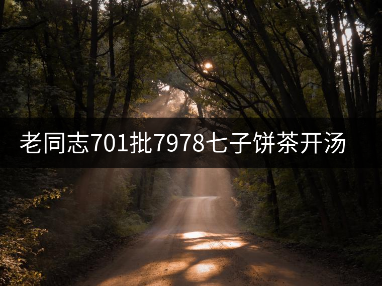 老同志701批7978七子餅茶開湯品鑒