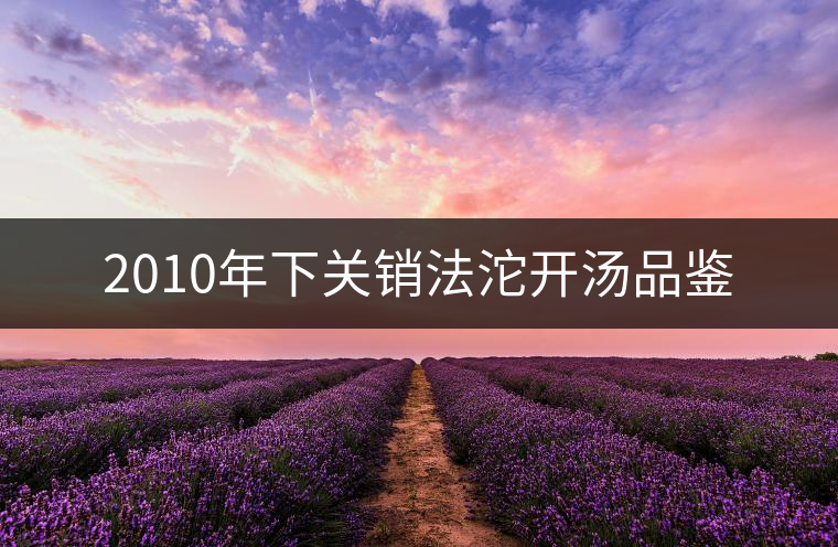 2010年下關(guān)銷(xiāo)法沱開(kāi)湯品鑒 2010年下關(guān)銷(xiāo)法沱開(kāi)湯品鑒
