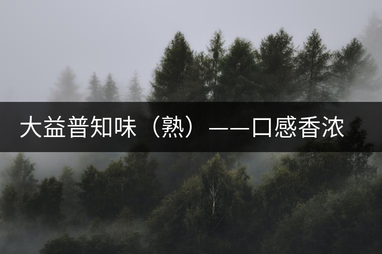 大益普知味（熟）——口感香濃，陳香味足