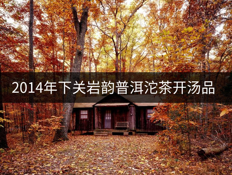 2014年下關(guān)巖韻普洱沱茶開湯品鑒