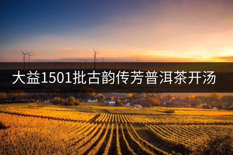 大益1501批古韻傳芳普洱茶開湯品鑒 大益1501批古韻傳芳普洱茶開湯品鑒