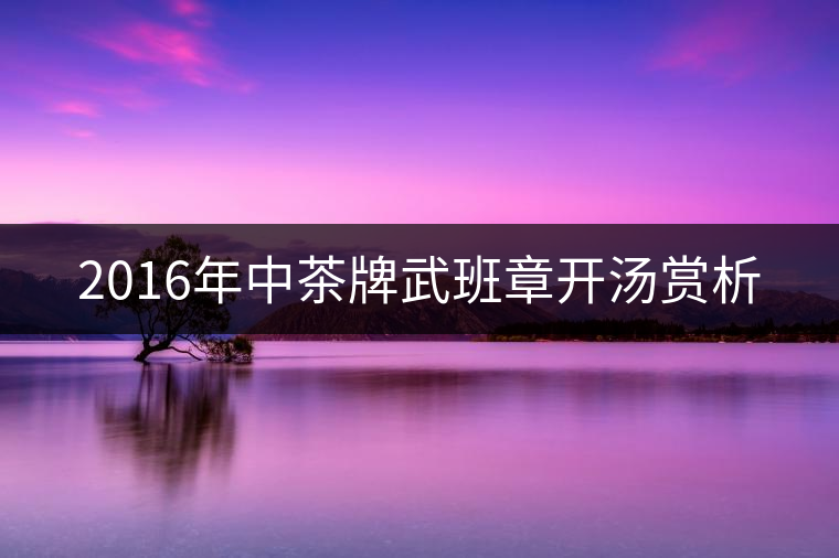 2016年中茶牌武班章開湯賞析