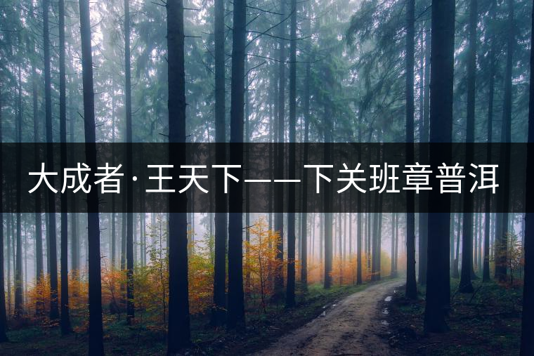 大成者·王天下——下關(guān)班章普洱茶開湯品鑒