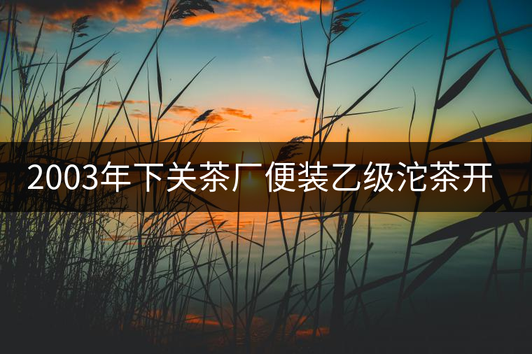 2003年下關(guān)茶廠便裝乙級(jí)沱茶開湯品鑒