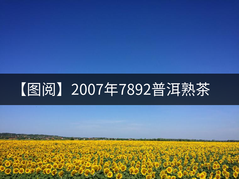 【圖閱】2007年7892普洱熟茶開湯