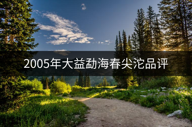 2005年大益勐海春尖沱品評(píng)