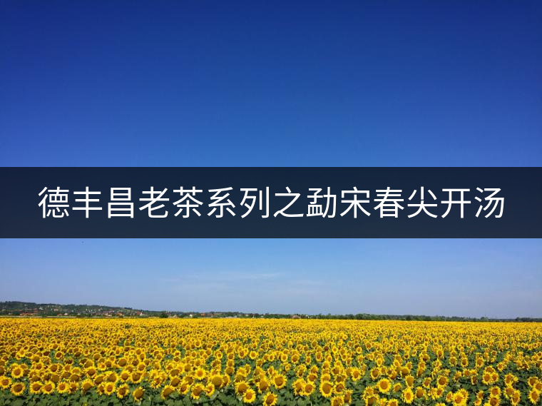 德豐昌老茶系列之勐宋春尖開湯 德豐昌老茶系列之勐宋春尖開湯