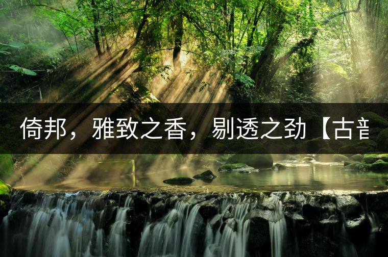 倚邦，雅致之香，剔透之勁【古普十二山品鑒】