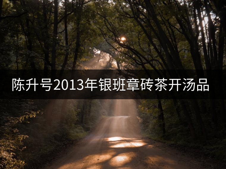 陳升號(hào)2013年銀班章磚茶開湯品鑒 陳升號(hào)2013年銀班章磚茶開湯品鑒