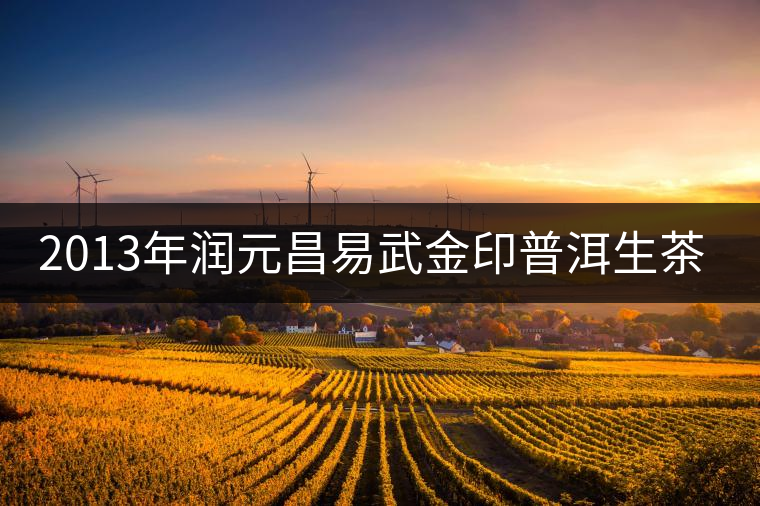 2013年潤(rùn)元昌易武金印普洱生茶開湯