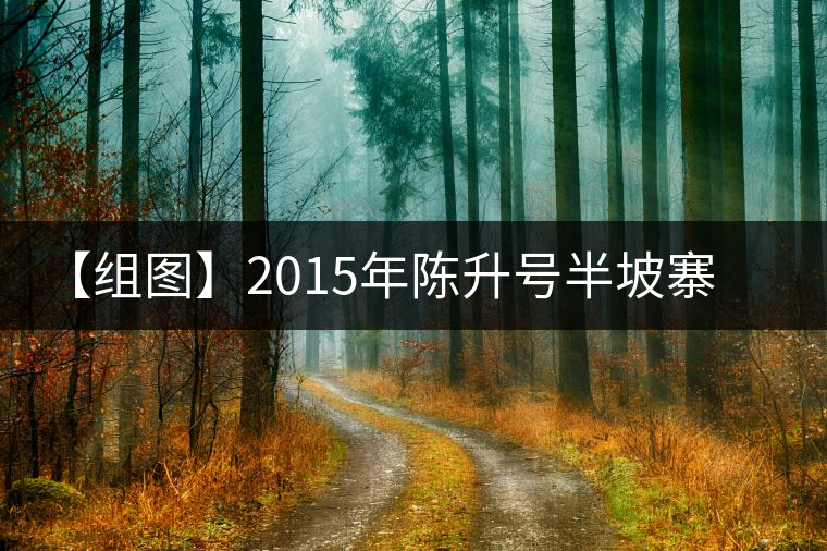 【組圖】2015年陳升號半坡寨普洱茶開湯
