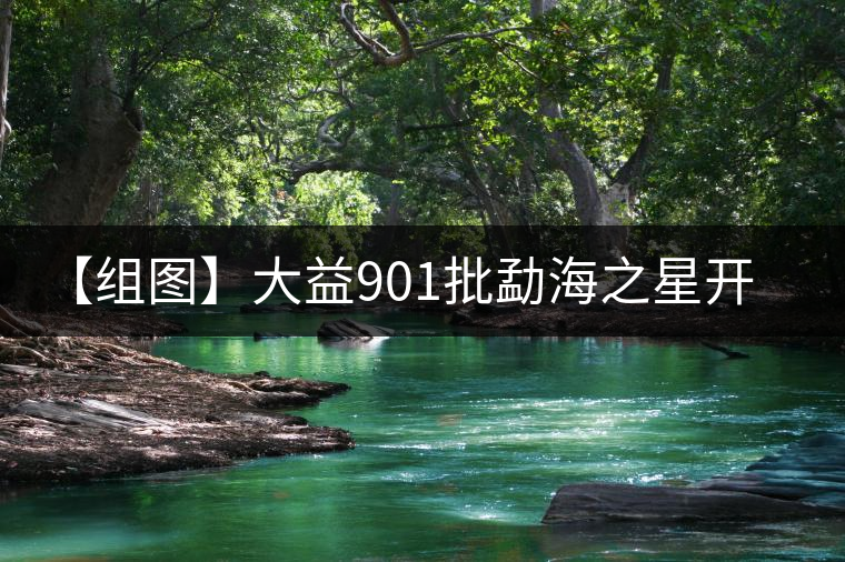 【組圖】大益901批勐海之星開(kāi)湯