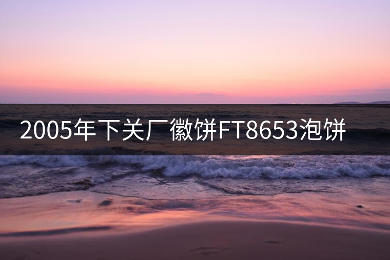 2005年下關(guān)廠徽餅FT8653泡餅開(kāi)湯