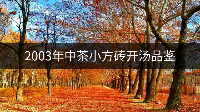2003年中茶小方磚開(kāi)湯品鑒