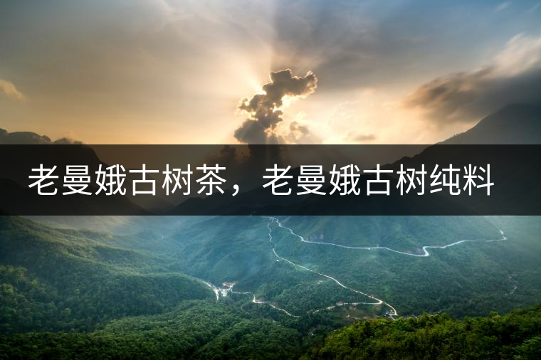 老曼娥古樹茶，老曼娥古樹純料生餅