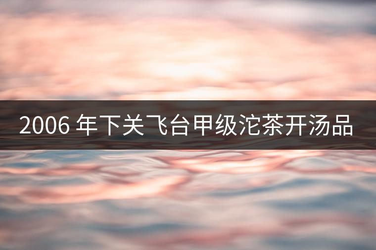2006 年下關(guān)飛臺甲級沱茶開湯品鑒