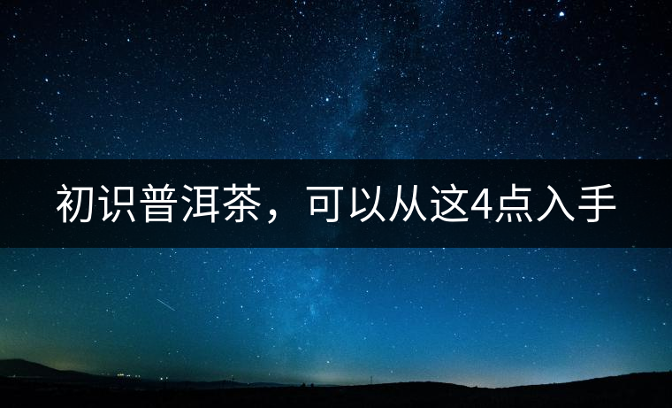 初識普洱茶，可以從這4點入手