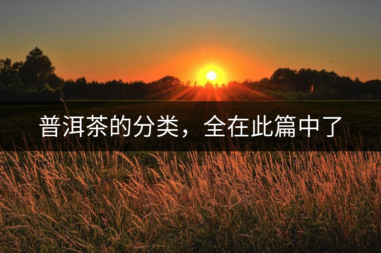 普洱茶的分類(lèi)，全在此篇中了
