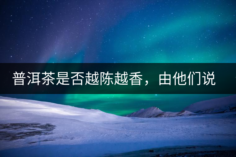 普洱茶是否越陳越香，由他們說(shuō)了算