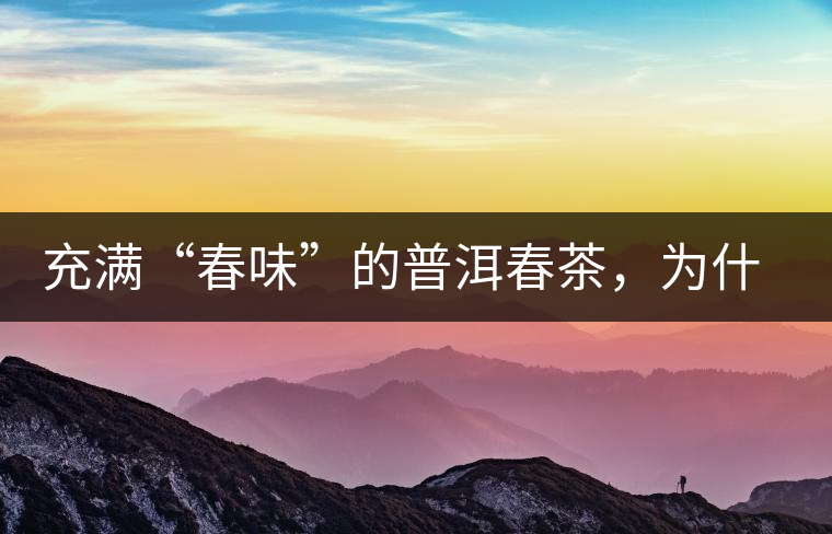 充滿“春味”的普洱春茶，為什么值得期待？