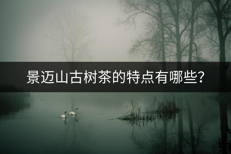 景邁山古樹茶的特點有哪些？
