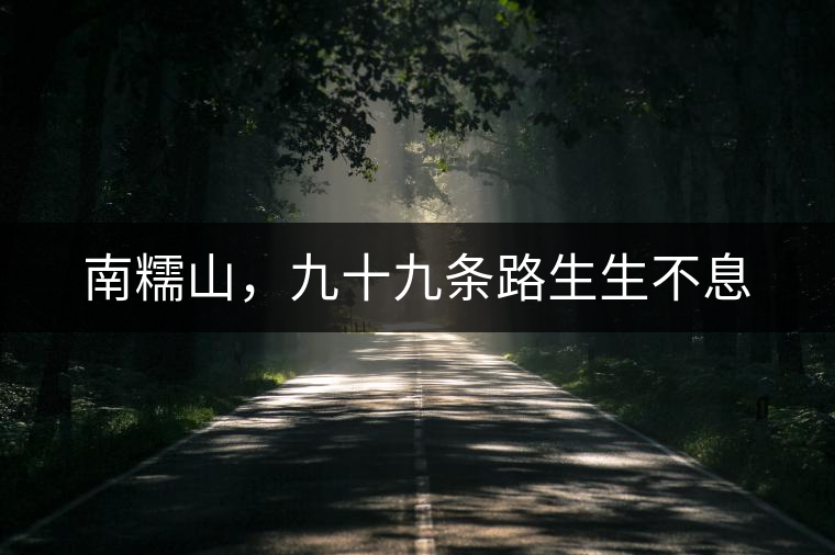 南糯山，九十九條路生生不息
