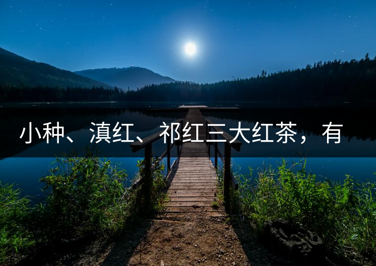小種、滇紅、祁紅三大紅茶，有何區(qū)別