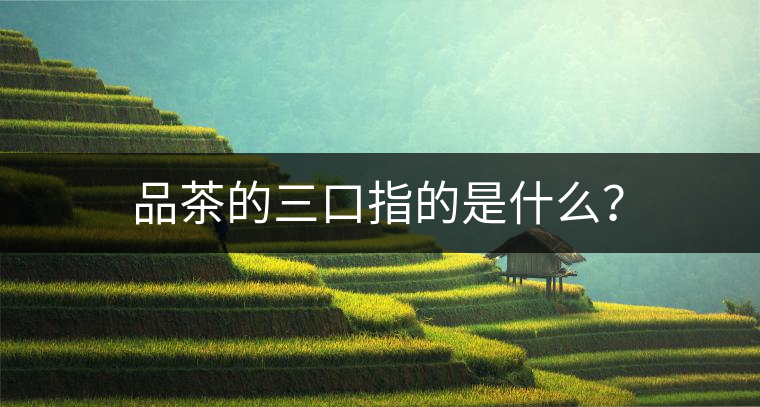 品茶的三口指的是什么？