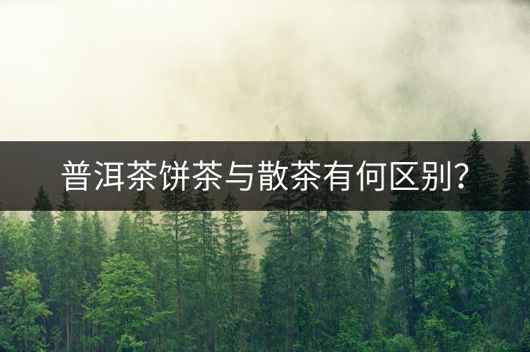 普洱茶餅茶與散茶有何區(qū)別？