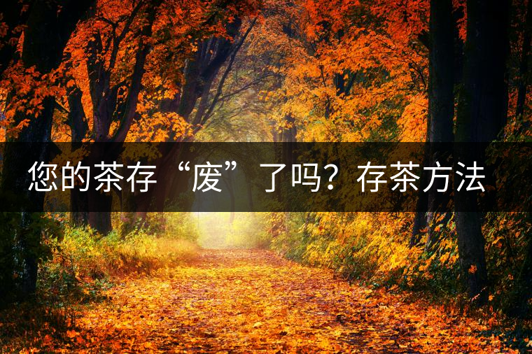 您的茶存“廢”了嗎？存茶方法與技巧，把香留住！